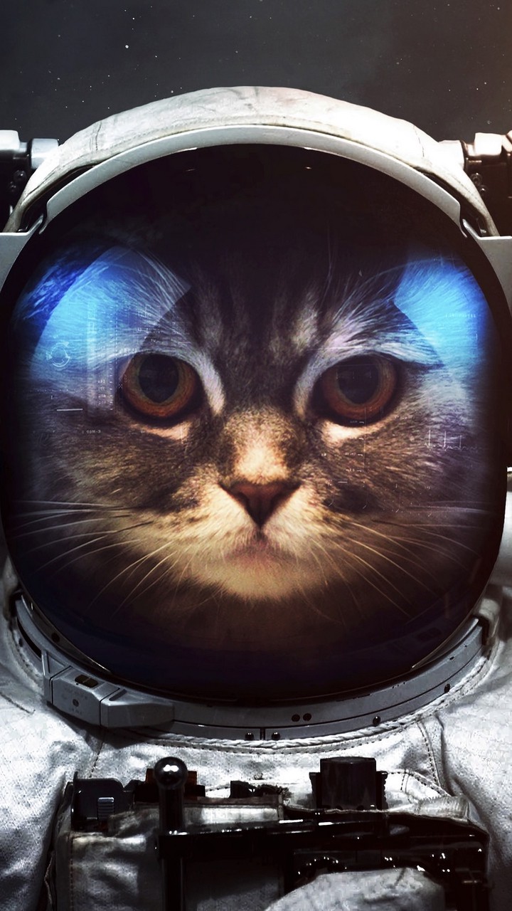 Wallpaper Astronaut 120