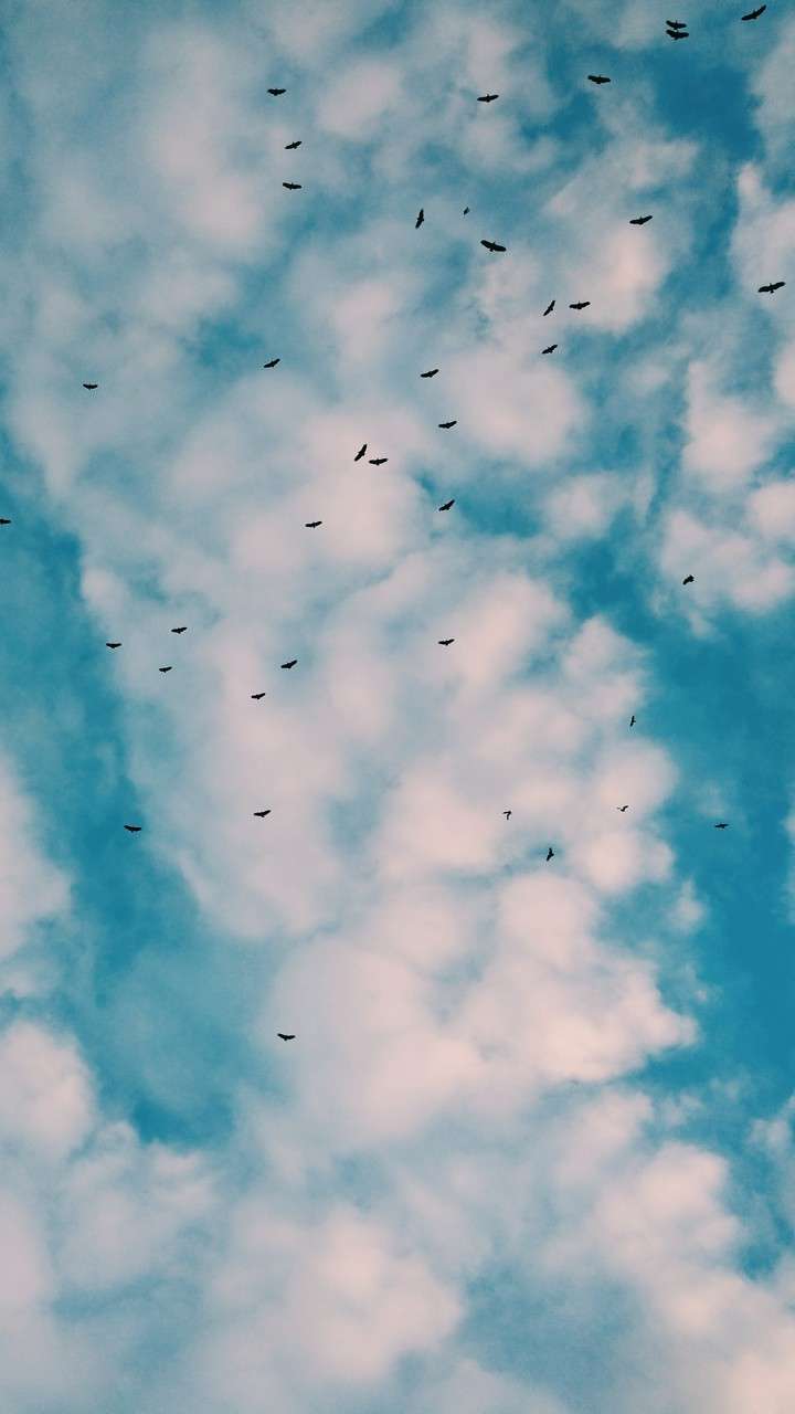 Sky wallpaper